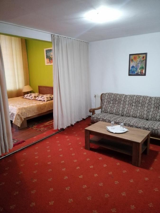 Hotel Rares Botosani Luaran gambar
